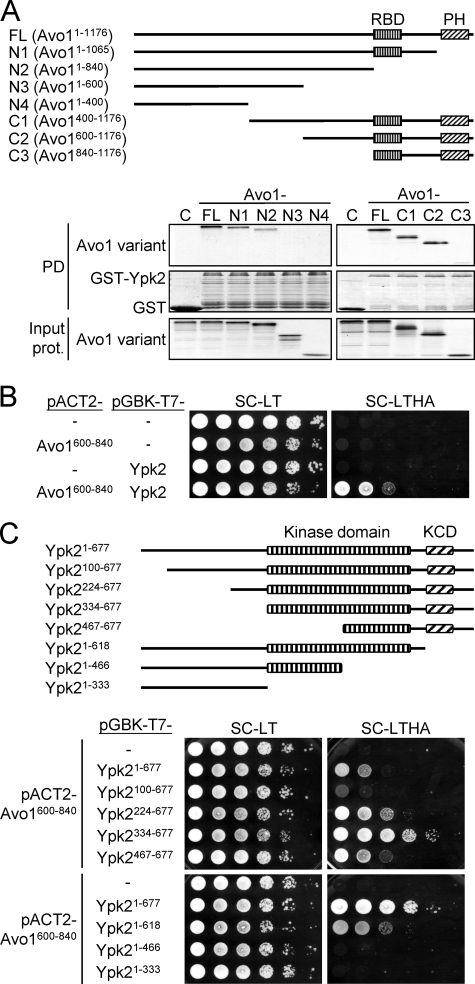 FIGURE 6.