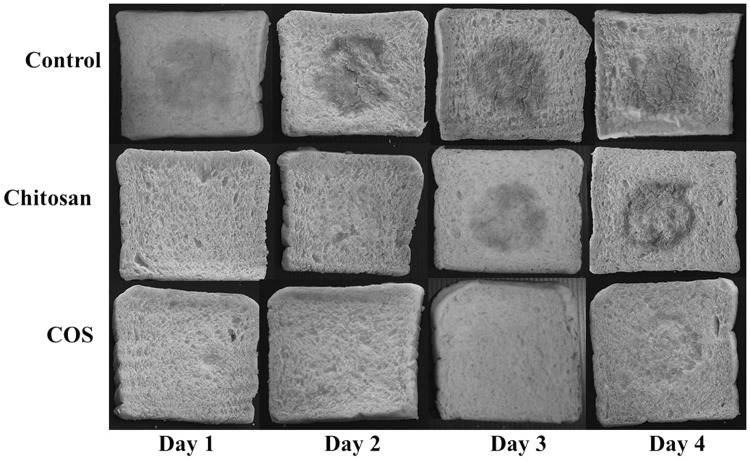 Fig. 2