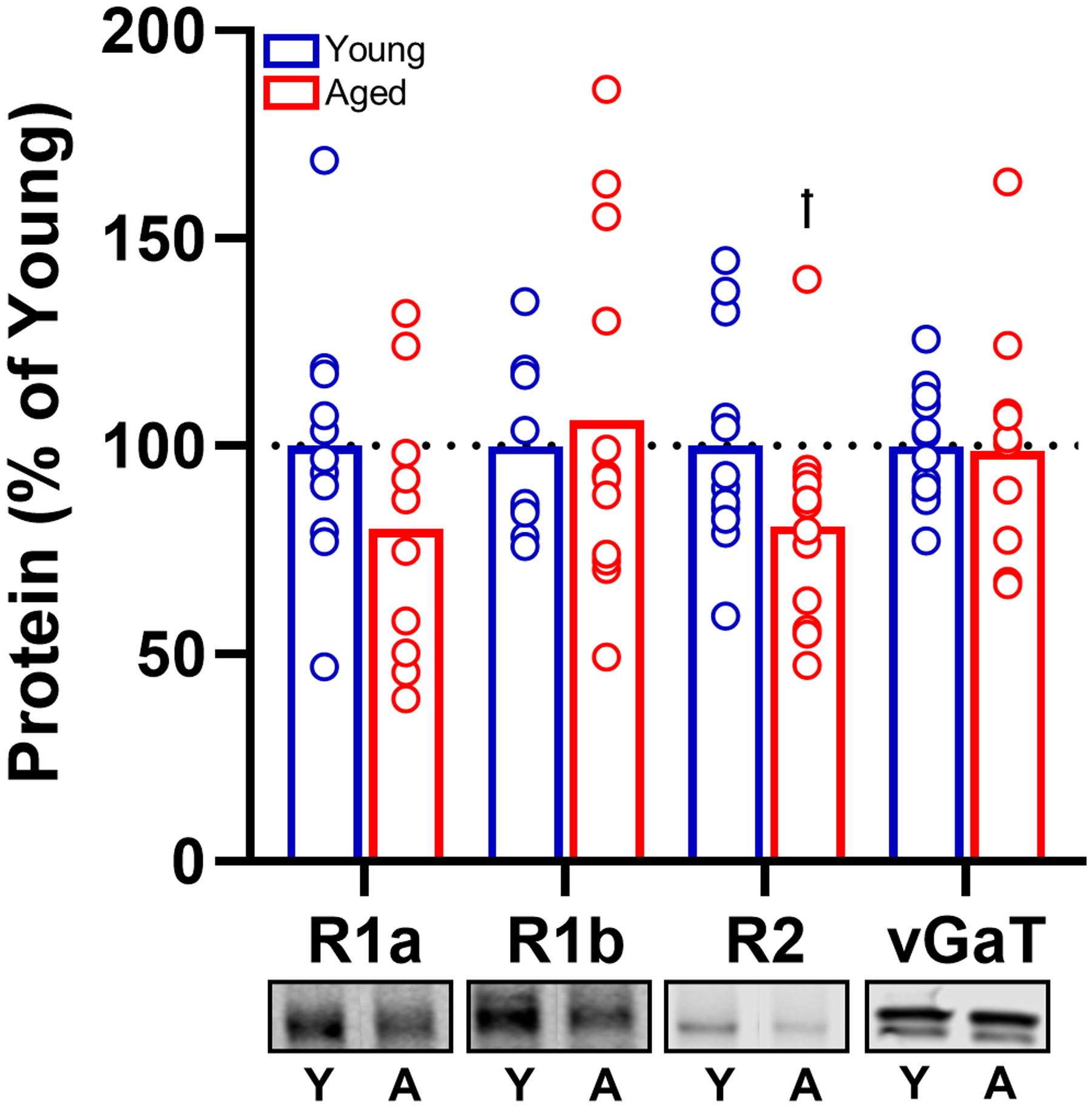 Fig. 10.