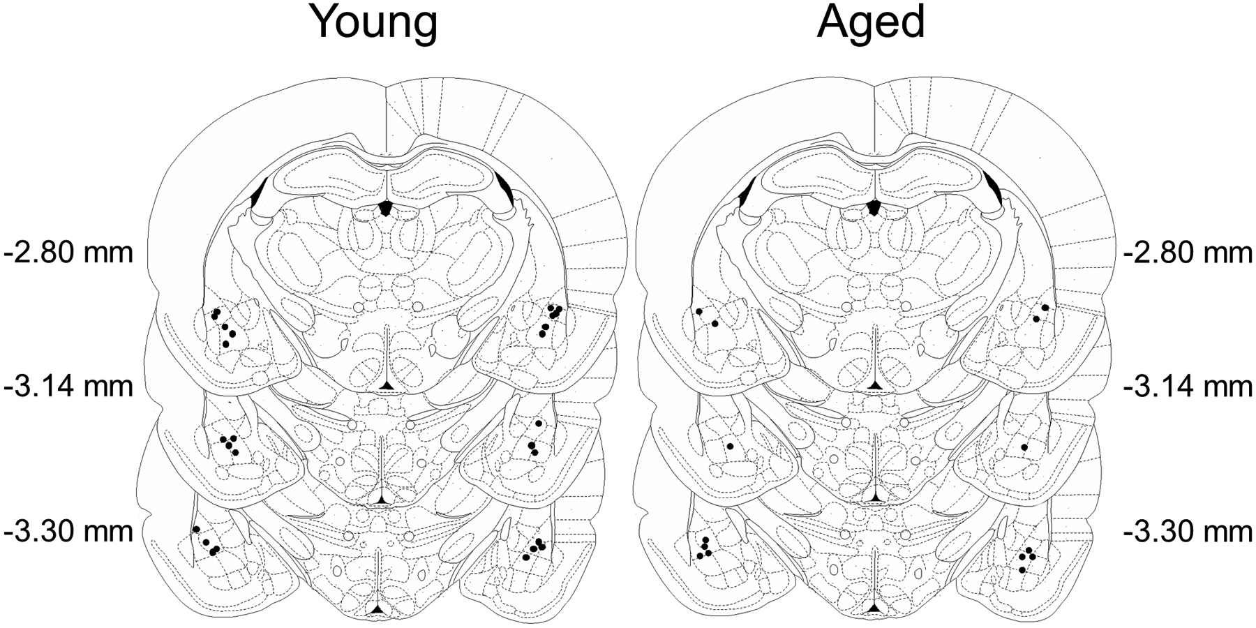 Fig. 7.