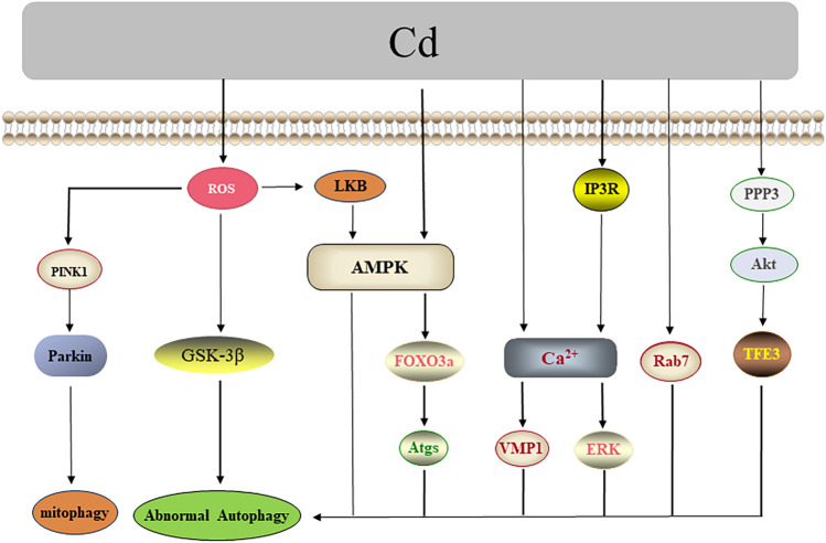 Fig. 2