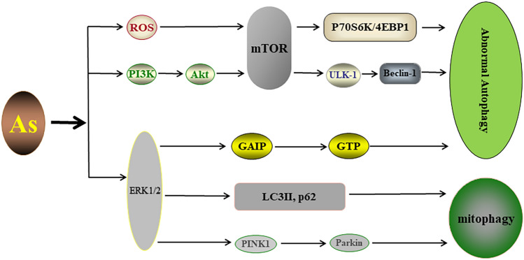 Fig. 5