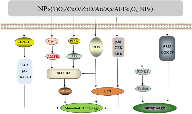 Fig. 7