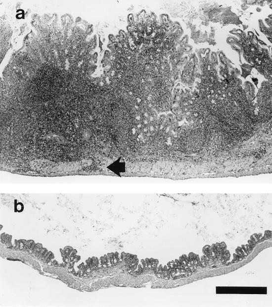 FIG. 6