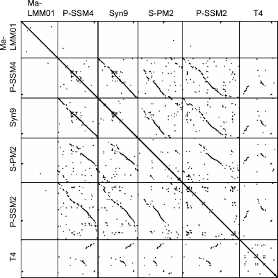 FIG. 2.