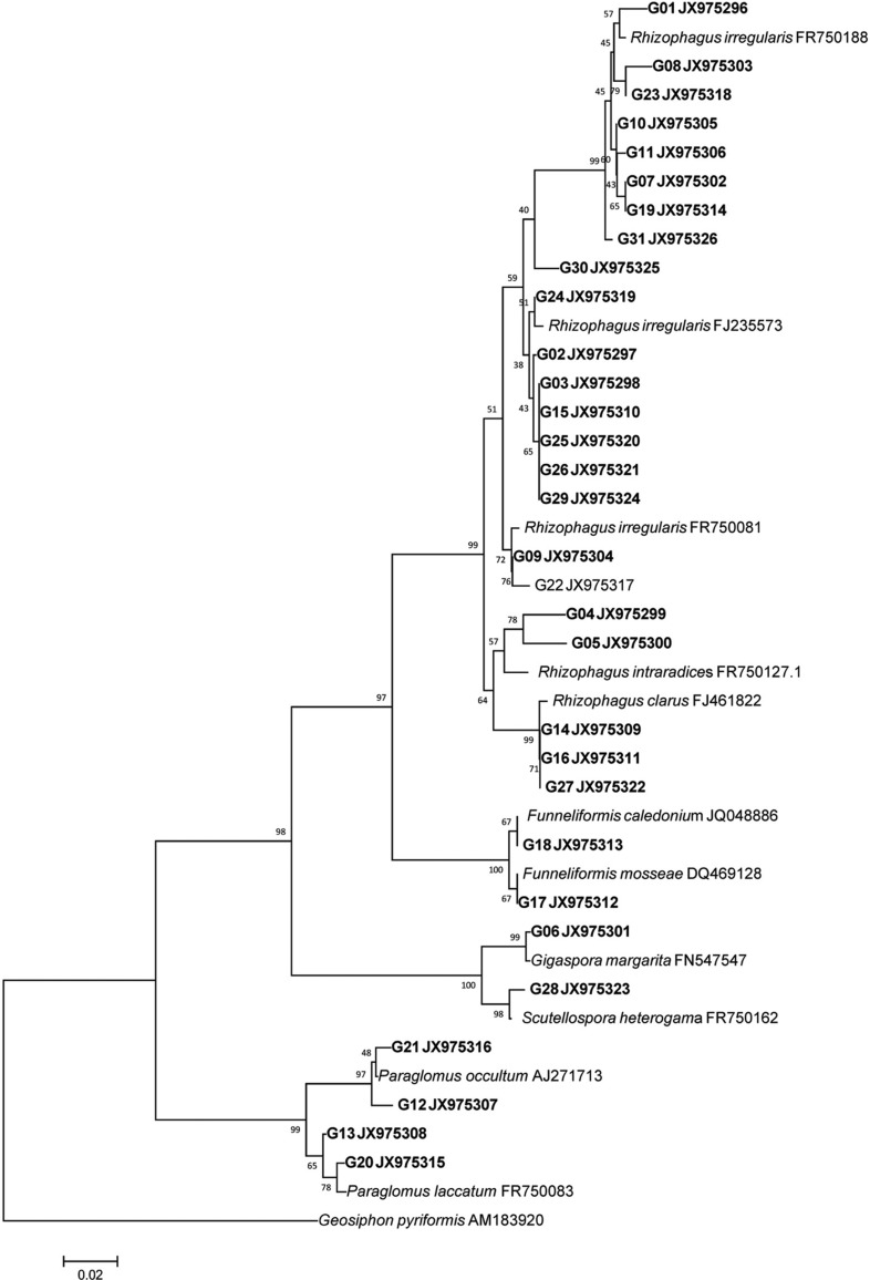 Fig. 2