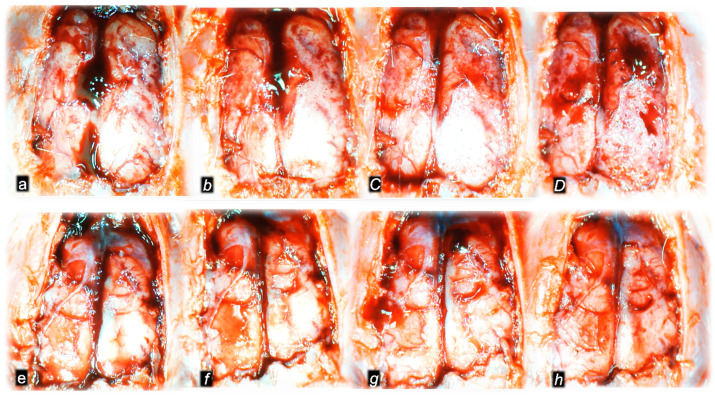 Figure 10