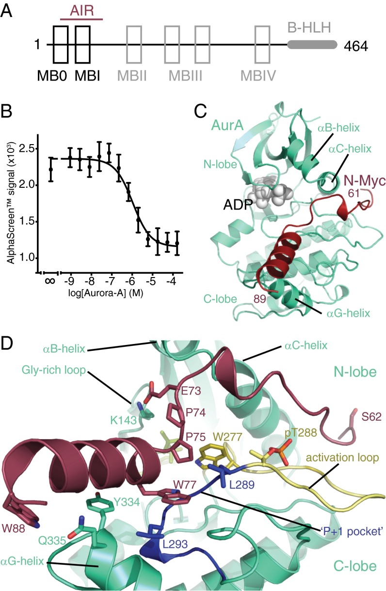 Fig. 1.