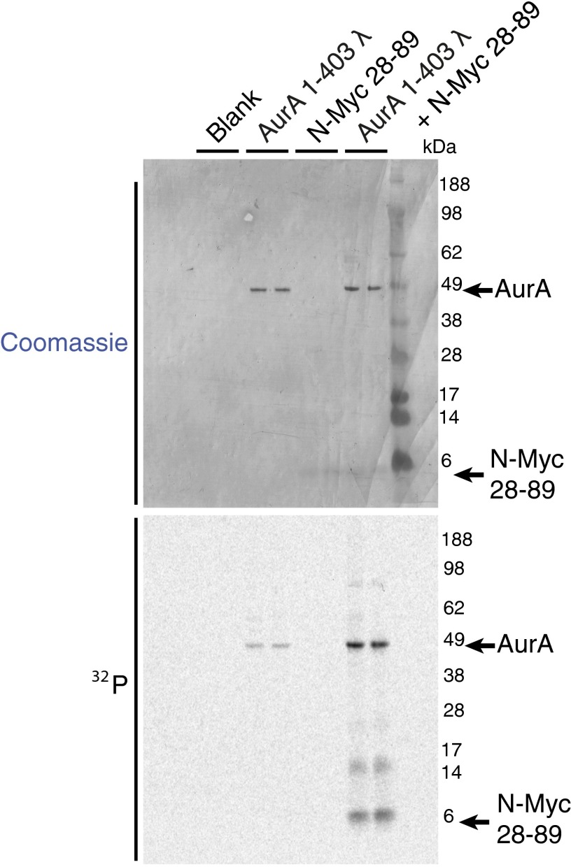 Fig. S3.