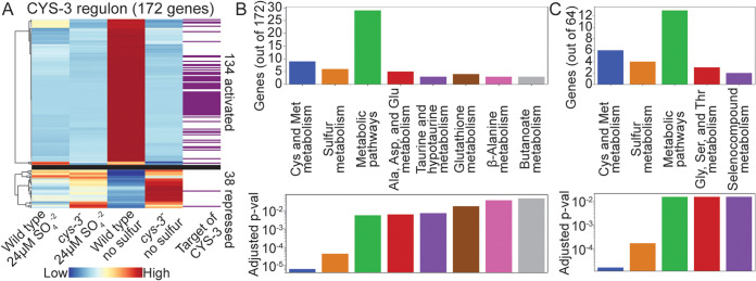 FIG 3