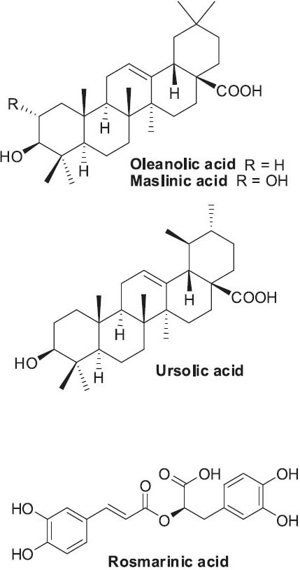 Figure 19