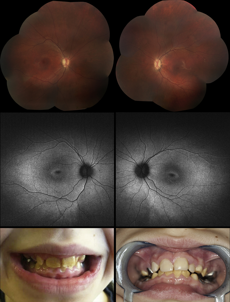 Figure 2