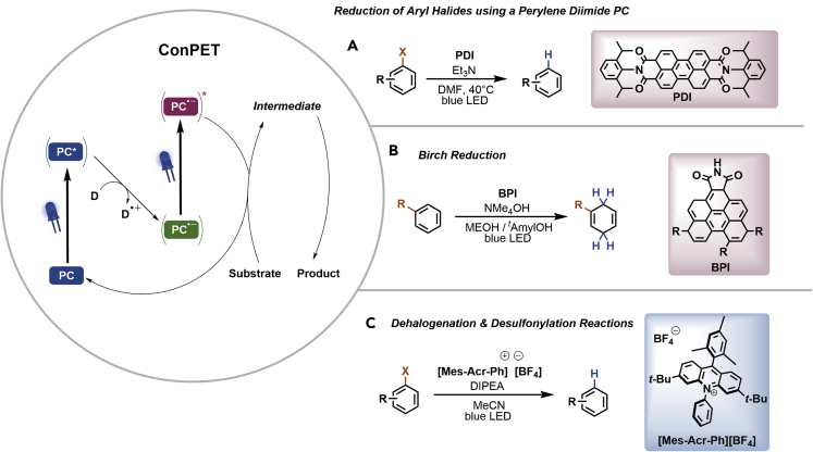 Figure 6