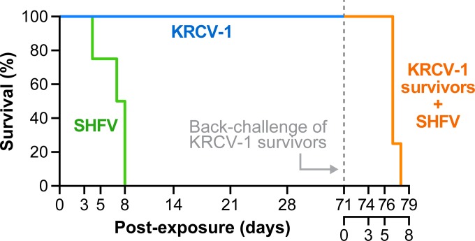 FIG 2 