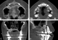 Fig 5.