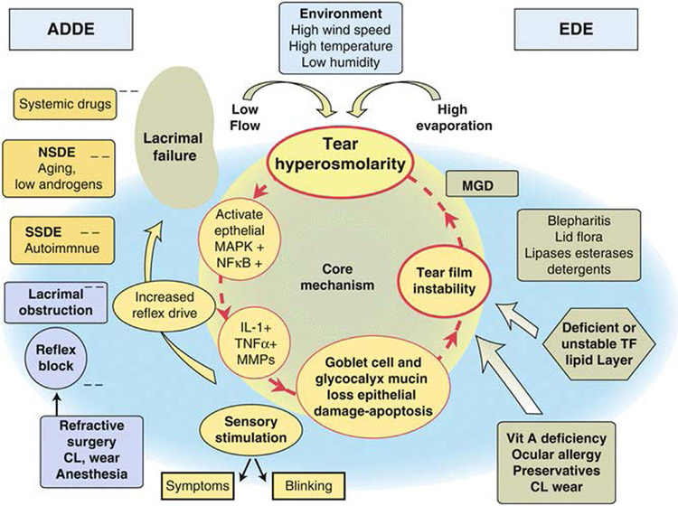 Figure 3 –