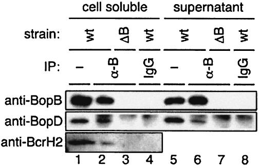 FIG. 5.