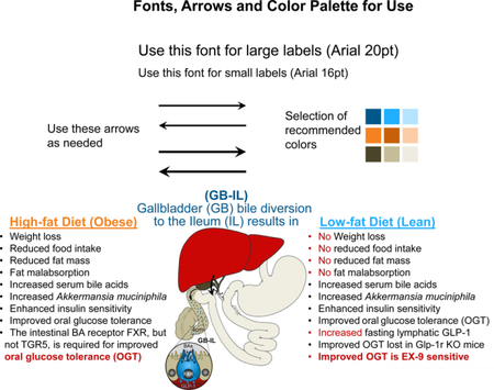 graphic file with name nihms-1512400-f0001.jpg