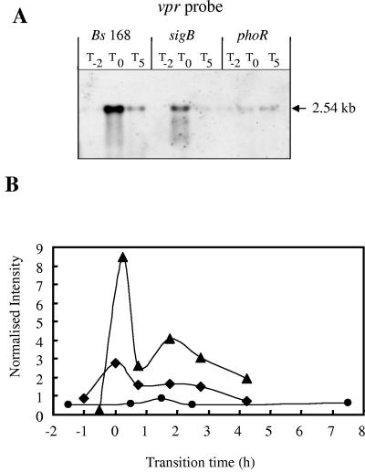 FIG. 8.