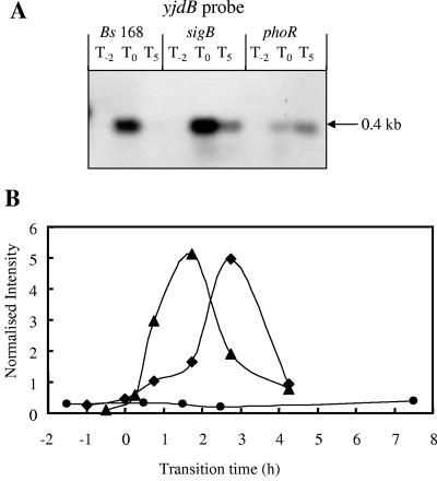 FIG. 5.