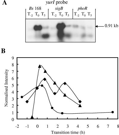 FIG. 7.