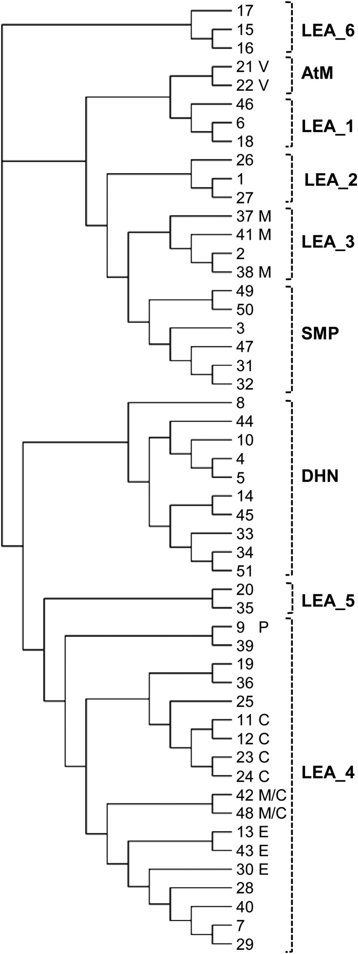 Figure 9.