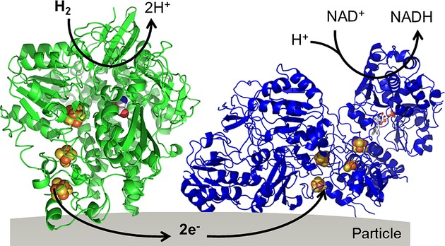 Scheme 2