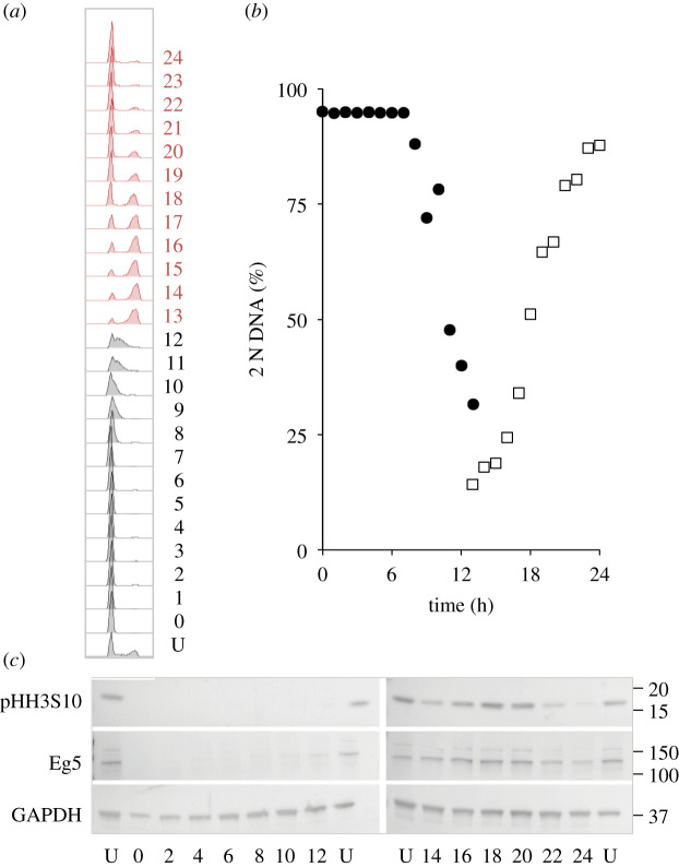 Figure 3.