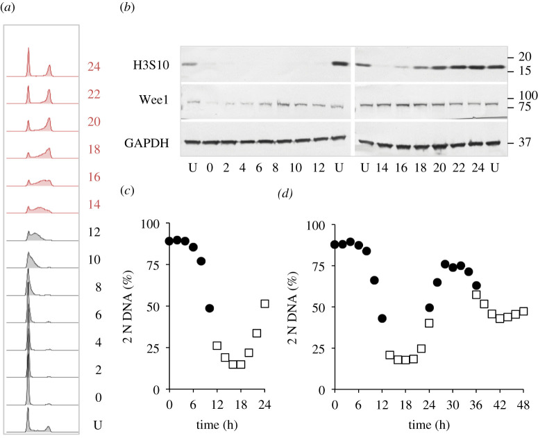 Figure 7.