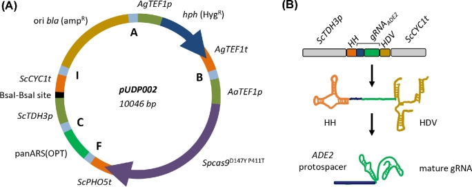 Figure 1.