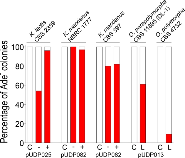 Figure 7.