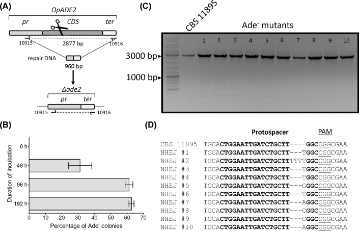 Figure 4.