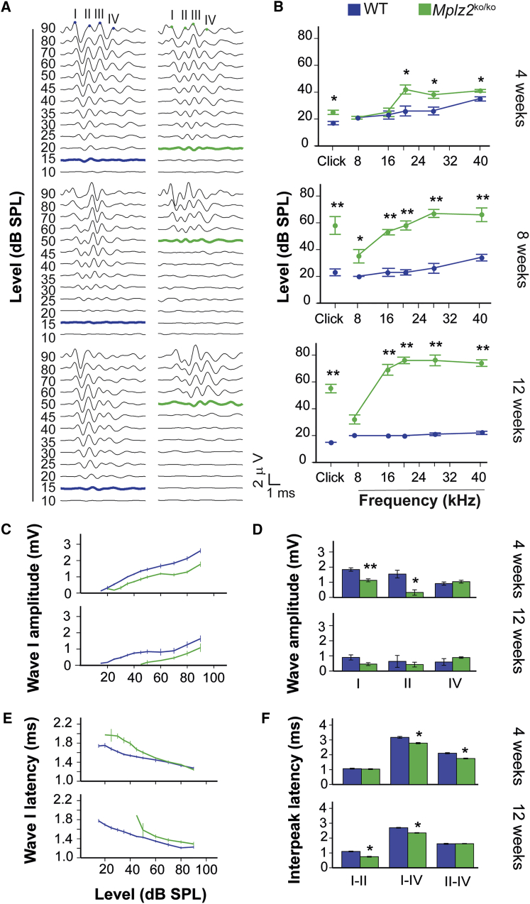 Figure 3