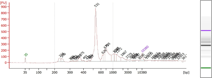 Figure 4