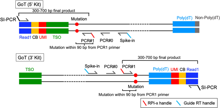 Figure 1