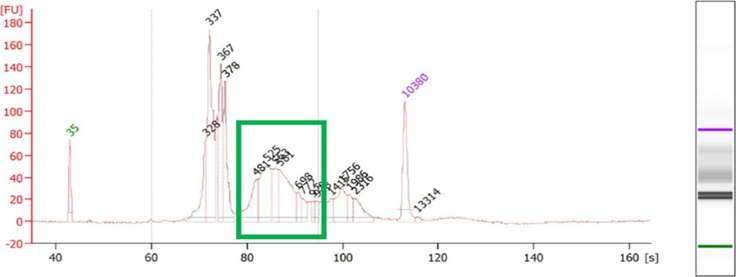 Figure 6