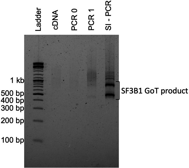 Figure 3