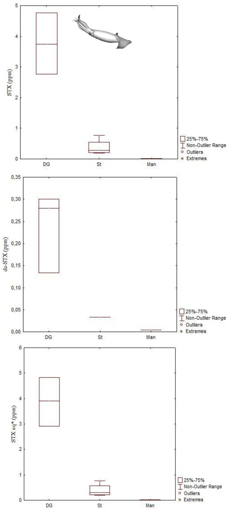 Figure 13