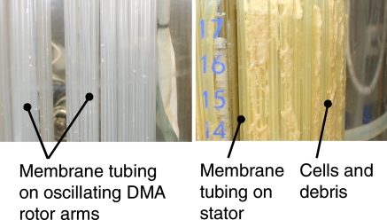 Fig. 7