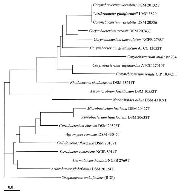 FIG. 6