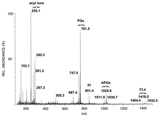 FIG. 1