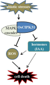 FIGURE 10