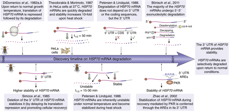 Figure 5