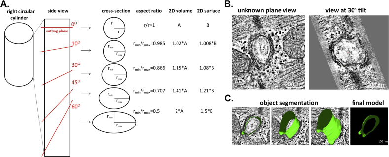 Fig. 1