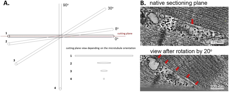 Fig. 4