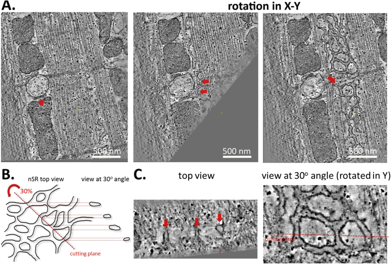 Fig. 3