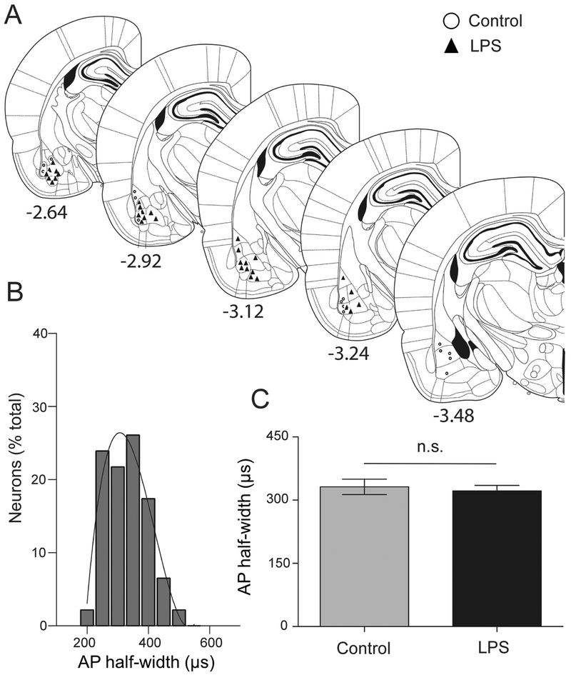 Figure 6: