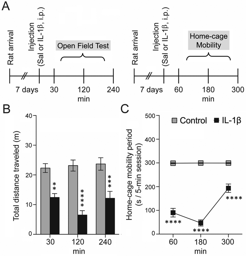 Figure 1: