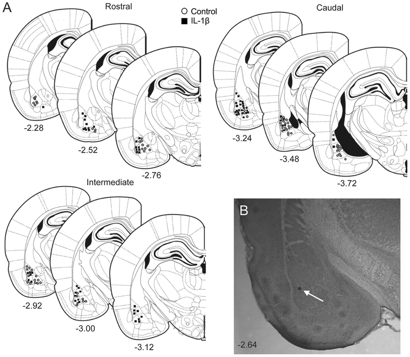 Figure 2: