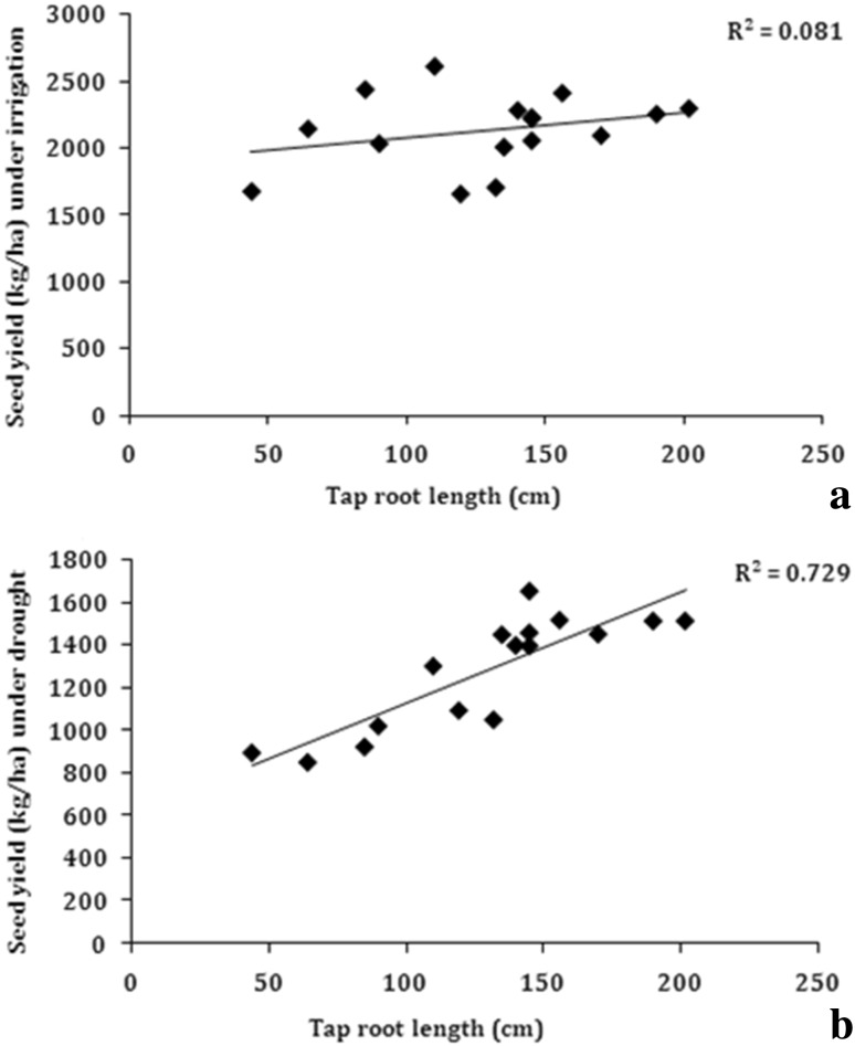 Fig. 5